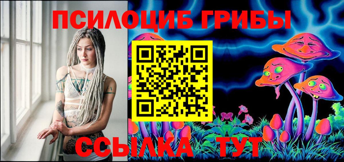 Галлюциногенные грибы MAGIC MUSHROOMS  Вход с VPN  Жуковский 